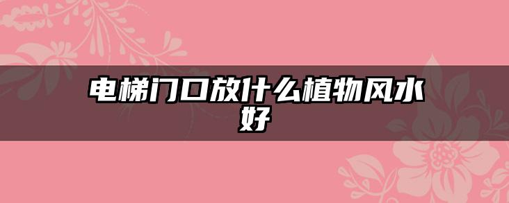 电梯门口放什么植物风水好