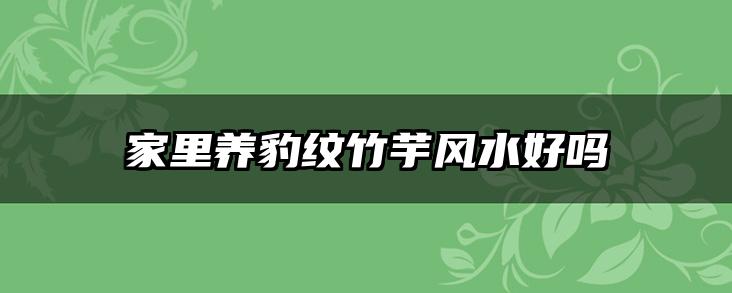 家里养豹纹竹芋风水好吗