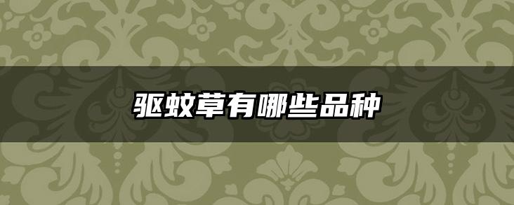 驱蚊草有哪些品种