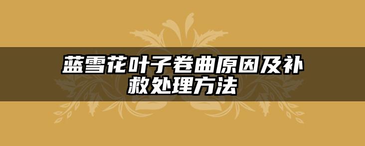 蓝雪花叶子卷曲原因及补救处理方法