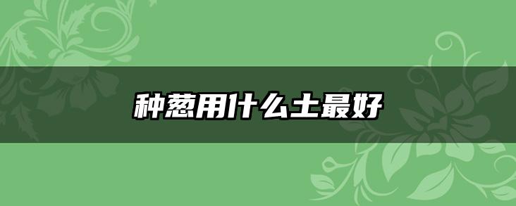 种葱用什么土最好