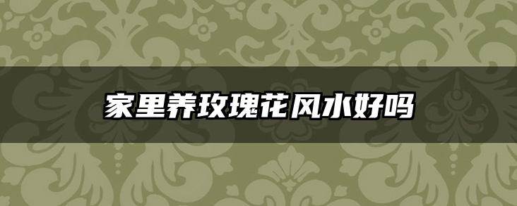 家里养玫瑰花风水好吗
