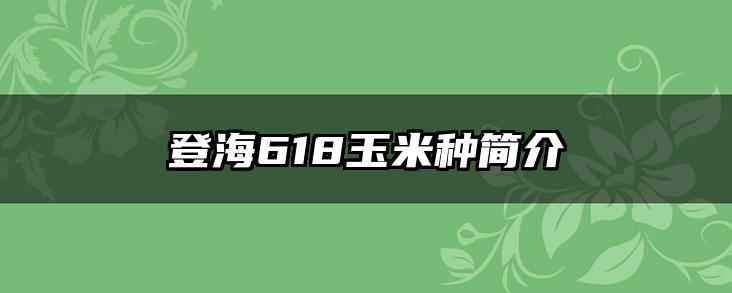登海618玉米种简介