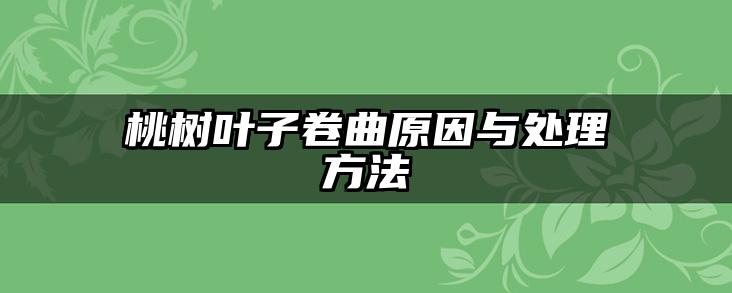 桃树叶子卷曲原因与处理方法