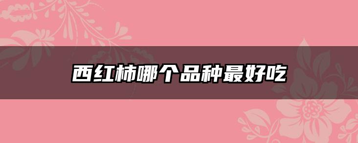 西红柿哪个品种最好吃