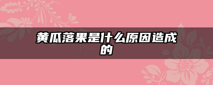 黄瓜落果是什么原因造成的