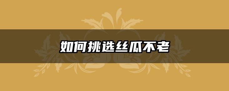 如何挑选丝瓜不老