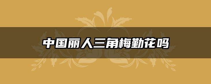 中国丽人三角梅勤花吗