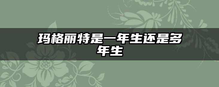 玛格丽特是一年生还是多年生