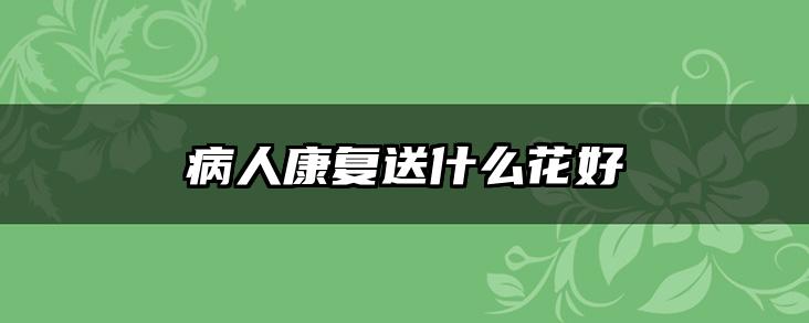 病人康复送什么花好