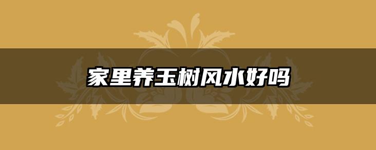 家里养玉树风水好吗