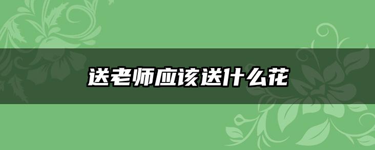 送老师应该送什么花