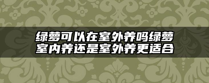 绿萝可以在室外养吗绿萝室内养还是室外养更适合