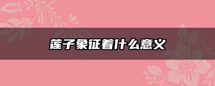 莲子象征着什么意义
