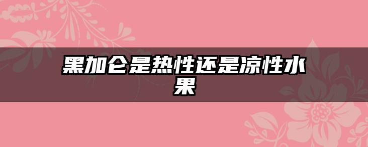 黑加仑是热性还是凉性水果