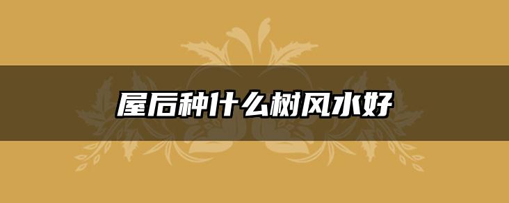 屋后种什么树风水好