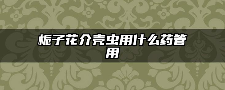 栀子花介壳虫用什么药管用
