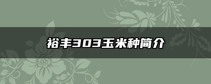 裕丰303玉米种简介