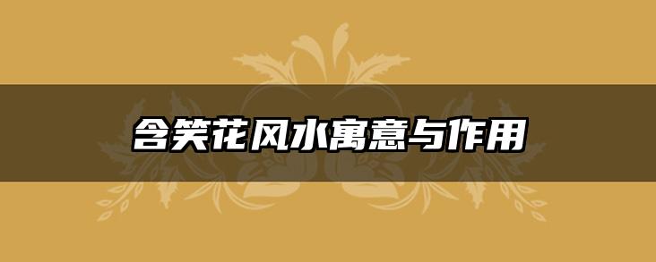 含笑花风水寓意与作用