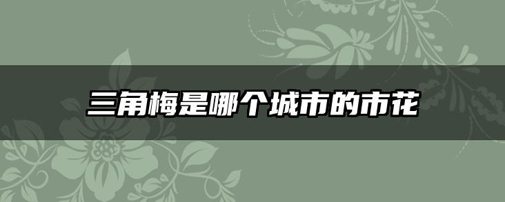 三角梅是哪个城市的市花