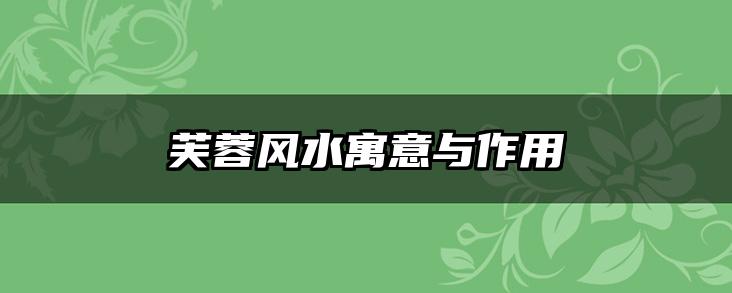 芙蓉风水寓意与作用