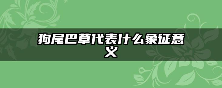 狗尾巴草代表什么象征意义