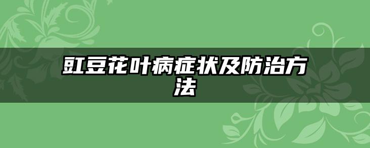 豇豆花叶病症状及防治方法