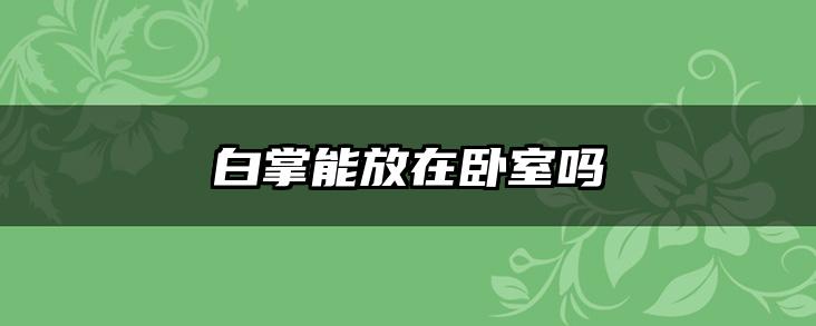 白掌能放在卧室吗