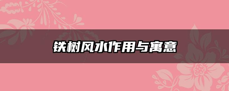 铁树风水作用与寓意