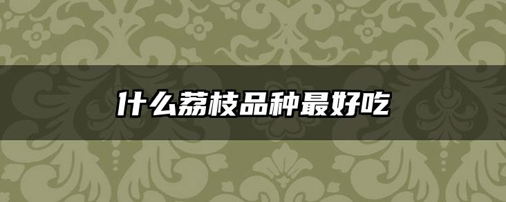 什么荔枝品种最好吃