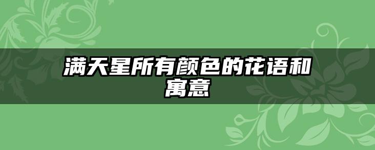 满天星所有颜色的花语和寓意