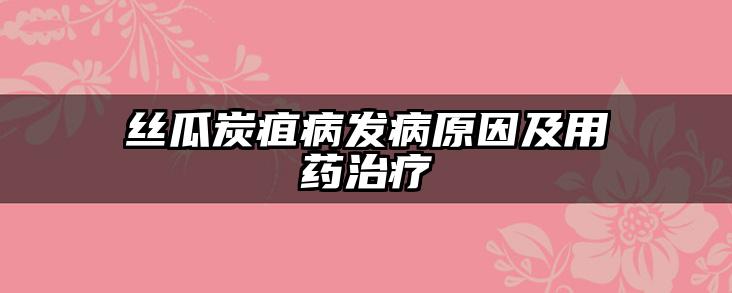 丝瓜炭疽病发病原因及用药治疗