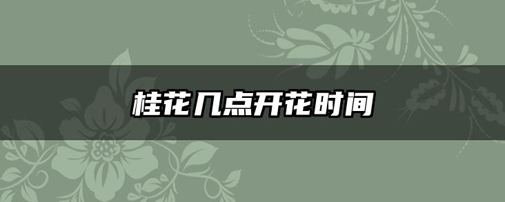 桂花几点开花时间