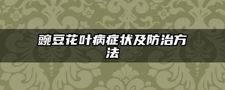 豌豆花叶病症状及防治方法