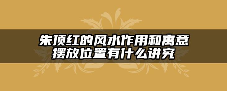 朱顶红的风水作用和寓意摆放位置有什么讲究