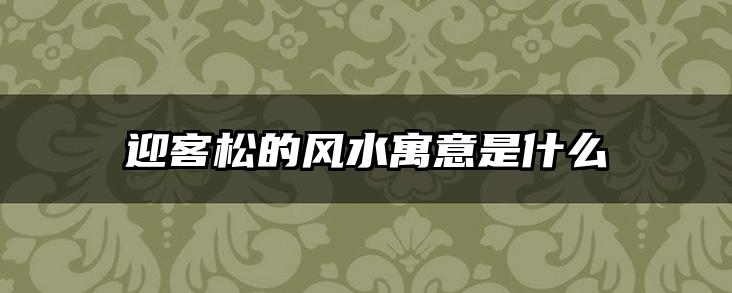 迎客松的风水寓意是什么
