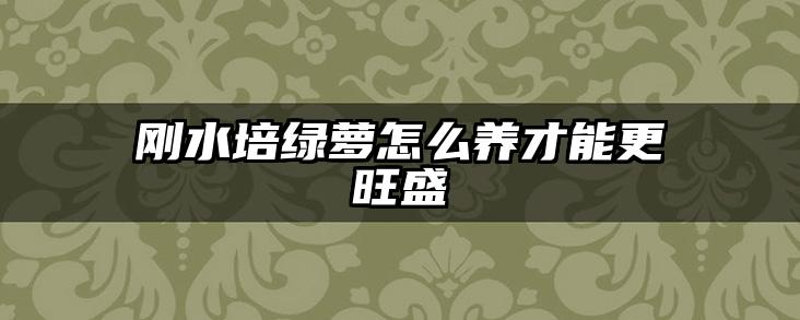 刚水培绿萝怎么养才能更旺盛