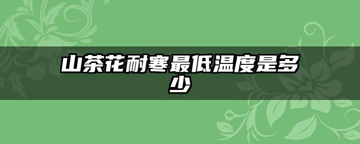 山茶花耐寒最低温度是多少