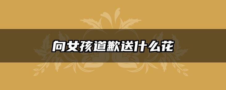 向女孩道歉送什么花