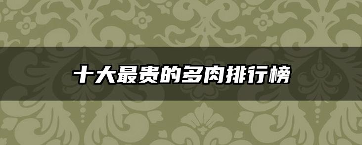 十大最贵的多肉排行榜