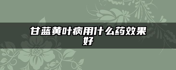 甘蓝黄叶病用什么药效果好