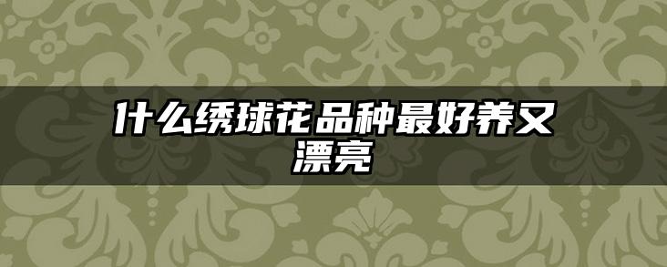 什么绣球花品种最好养又漂亮