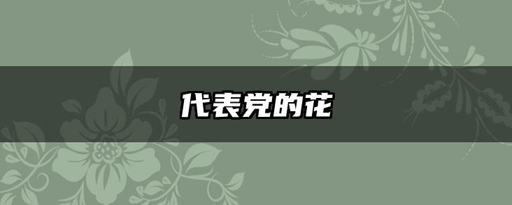 代表党的花