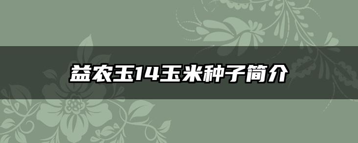 益农玉14玉米种子简介