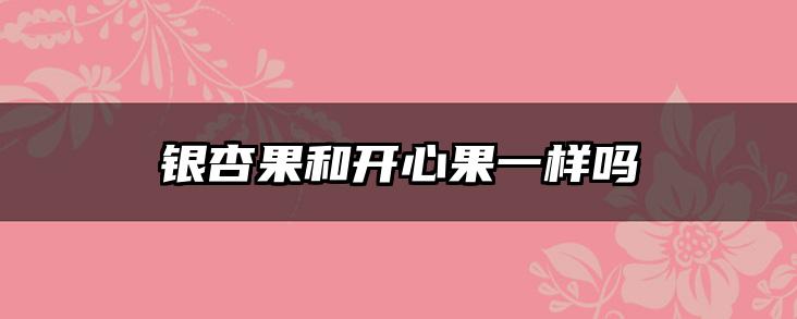 银杏果和开心果一样吗