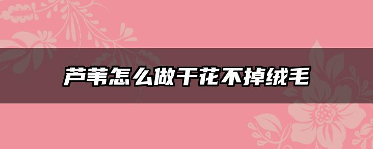 芦苇怎么做干花不掉绒毛