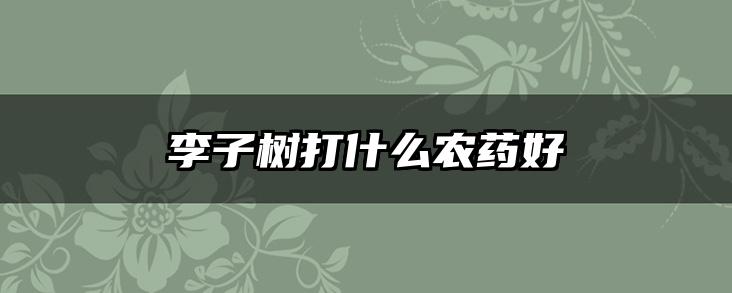 李子树打什么农药好