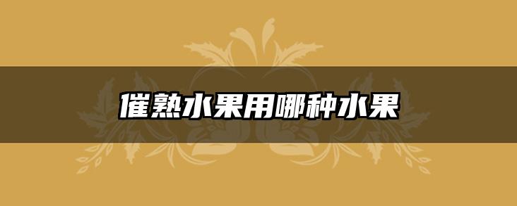 催熟水果用哪种水果