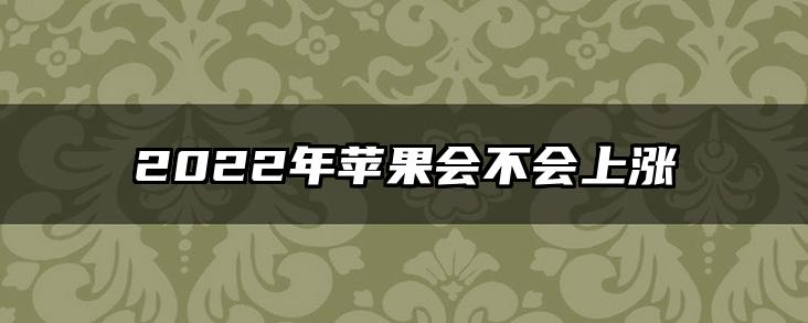 2022年苹果会不会上涨