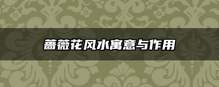 蔷薇花风水寓意与作用